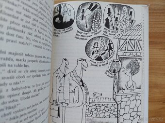 Stanislav Rudolf - Kopretiny pro zámeckou paní, Adolf Born - 3