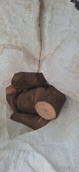 Listnaté dřevo - 3