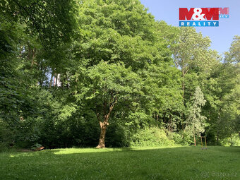 Prodej lesa, 9272 m², Třinec - 3