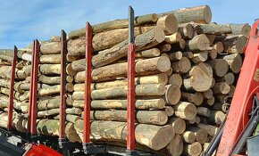 Prodám palivové dřevo měkké, tvrdé - 3