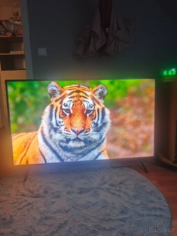 Prodám 4K Android Smart Televize značky Sony 55 palců - 3