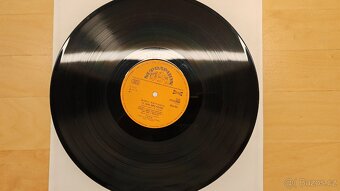 Marie Rottrová - Ty, kdo jdeš kolem - 3