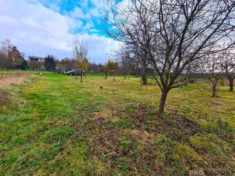 REZERVOVÁNO Prodej zahrady 1000m2, rovina, sad - 3