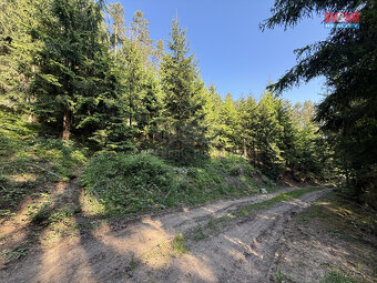 Prodej lesa, 23184 m², Milešov - 3