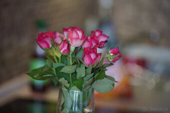 Canon Fd 135/2.5 S.C. - 3