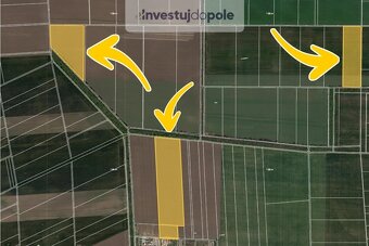Prodej pole v k.ú. Hrušovany nad Jevišovkou - 3