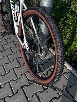 Specialized Rockhoper - 3