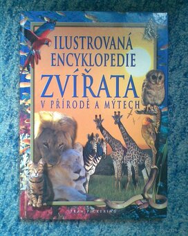 Nové hračky pro chlapečka - 3