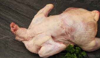 Domácí kuřata - 3
