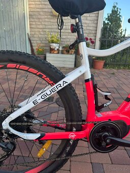 Elektrokolo Crussis - 3