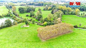 Prodej lesa, 1461 m², Skřivany - 3