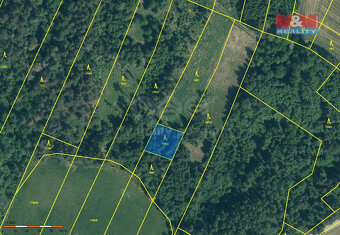Prodej lesa, 3635 m², Malý Bor - 3