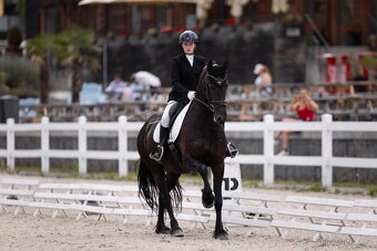 Fríská 8letá drezurní klisna s titulem Ster - 3