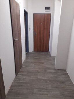 Pronájem bytu 2+1 - 3