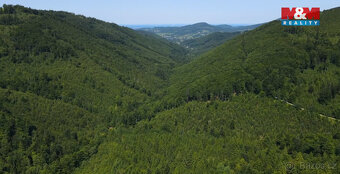 Prodej lesa, 207244 m², Nýdek - 3