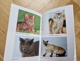 Kniha Kočky, kocouři a koťata - 3