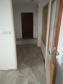Pronájem, Byt 2+kk, 46m2, Jenišov -Karlovy Vary - 3