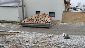 PALIVOVÉ DŘEVO (měkké, tvrdé), KULATINA - 3