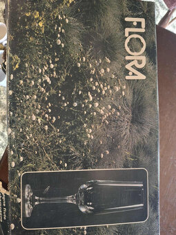 Flora sklenice na sampus - 3