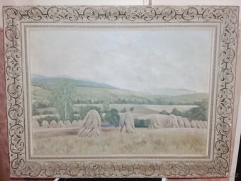 Obrazy plus rámy - 3