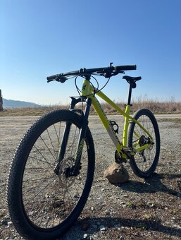 Rock machine Torrent - 3