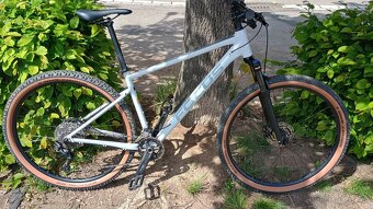 Focus Whistler 3.8 ,29" - 3