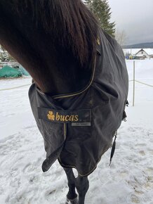 Bucas irish 50g/135cm - 3