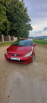 Peugeot 307 (cc) 1.6 LPG 2005 - 3