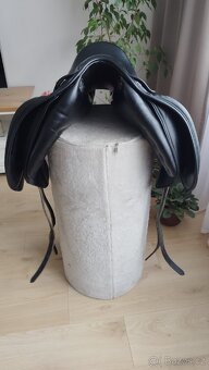 Cobra (Amerigo, Equipe) - 3