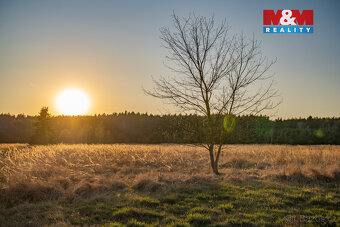 Prodej pozemku k bydlení, 758 m², Nová Ves - 3