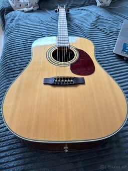 Cort earth 70 nat - 3