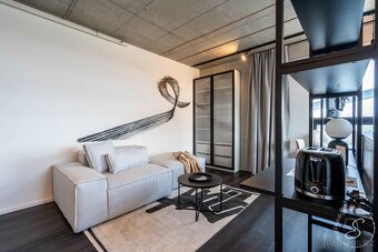 Pronájem bytu 1+kk 40 m² - 3