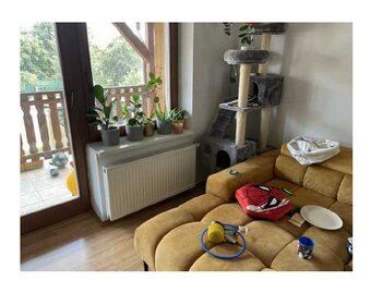 Rodinný dům , Staré Město, ID 7360e 2407 - 3
