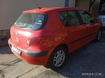 Peugeot 307 - 3