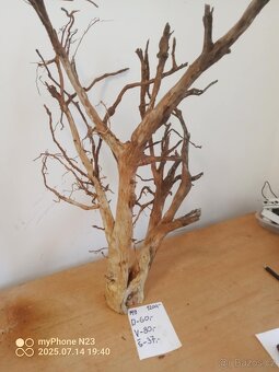 Bonsai kořeny do aquaria / Terraria - 3