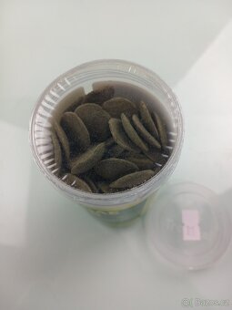 Tropical Green Algae Wafers 250 ml 113 g - 3