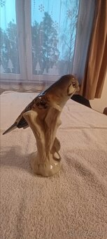 Porcelánová poštolka pestrá - 3