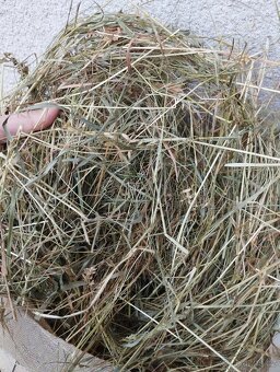 Seno, ručně sušené, pytlované - 3