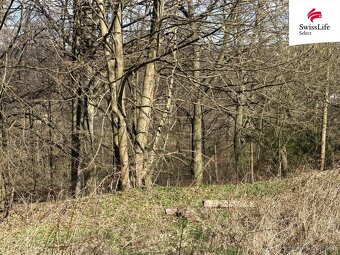 Prodej zahrady 905 m2, Ústí nad Orlicí - 3