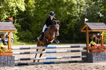Pony do sportu - 3