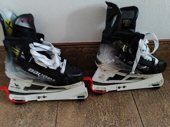 Bauer brusle - 3