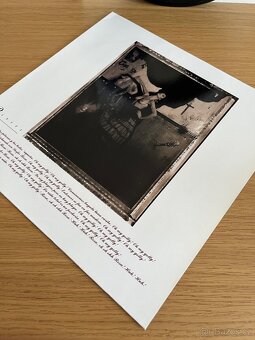 Pixies – Surfer Rosa - 3