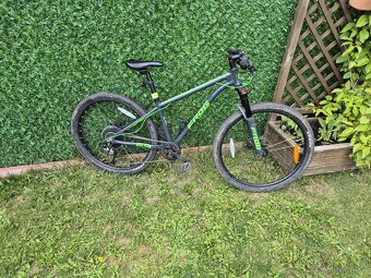 Kolo dětské Frog, velikost 26" - 3