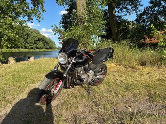 Honda Hornet 600 - 3