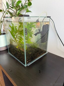 Akvárium s Bettou - 3