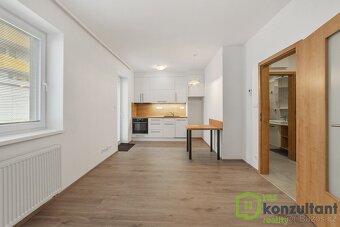 Pronájem moderního bytu 1+kk s předzahrádkou v Brně – Kamech - 3