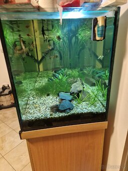 Akvarium - 3