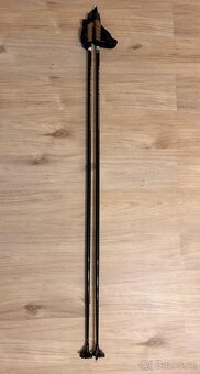 Běžecké hole Axon MATREX 160cm - 3