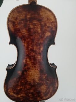 Viola - 3