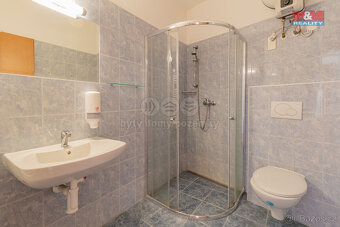 Prodej hotelu, penzionu, 300 m², Malý Ratmírov - 3
